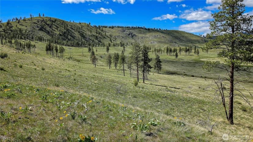 Property photo for 1 Washington Creek Road, Chelan photo 10