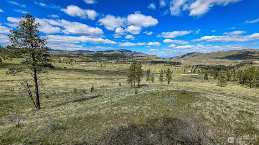 Property photo for 1 Washington Creek Road, Chelan photo 9