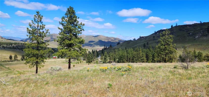Property photo for 1 Washington Creek Road, Chelan photo 26