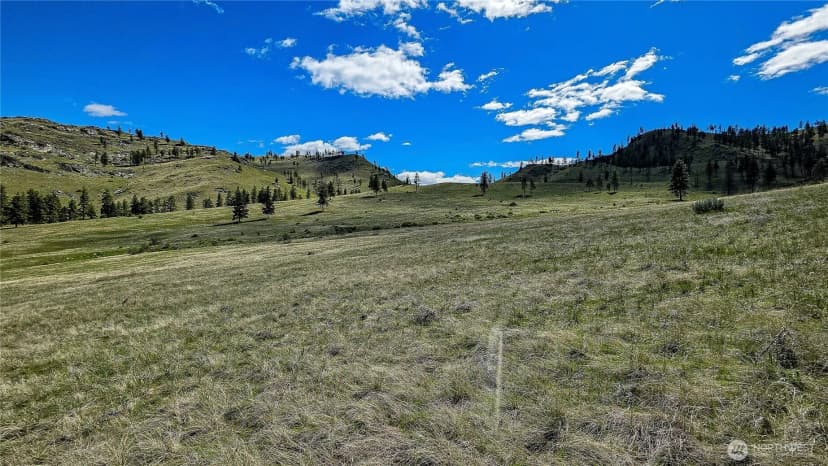 Property photo for 1 Washington Creek Road, Chelan photo 4