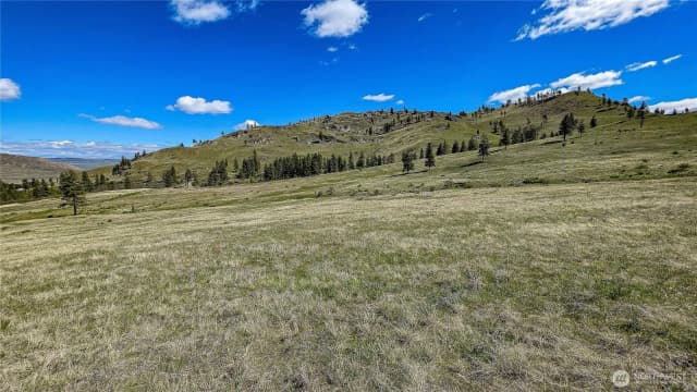 Property photo for 1 Washington Creek Road, Chelan photo 5