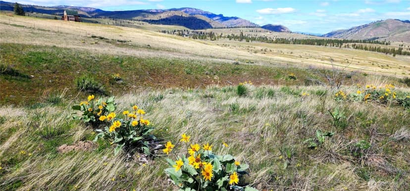 Property photo for 1 Washington Creek Road, Chelan photo 25