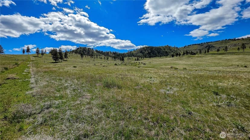 Property photo for 1 Washington Creek Road, Chelan photo 16