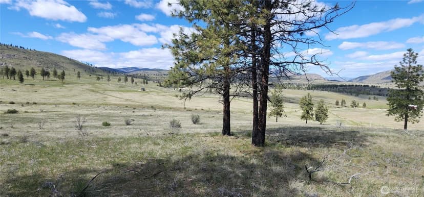 Property photo for 1 Washington Creek Road, Chelan photo 23