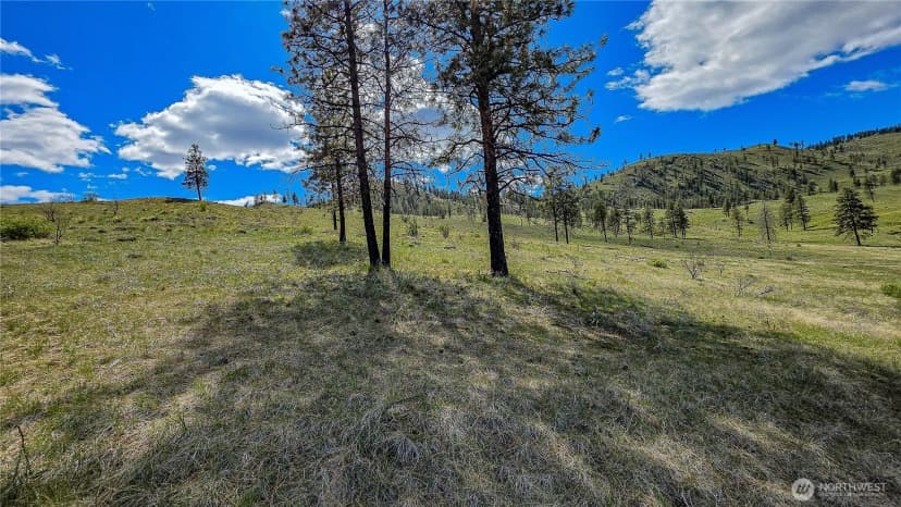 Property photo for 1 Washington Creek Road, Chelan photo 13