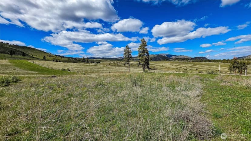 Property photo for 1 Washington Creek Road, Chelan photo 18