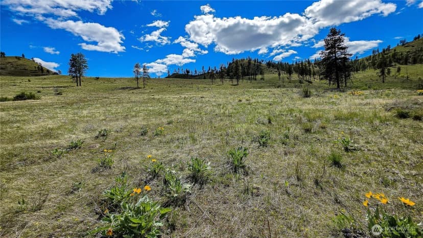 Property photo for 1 Washington Creek Road, Chelan photo 8