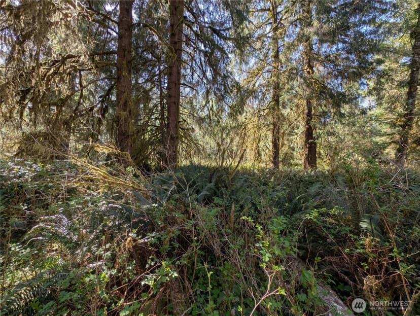 Property photo for 999 Hoh River Park Drive, Forks photo 16