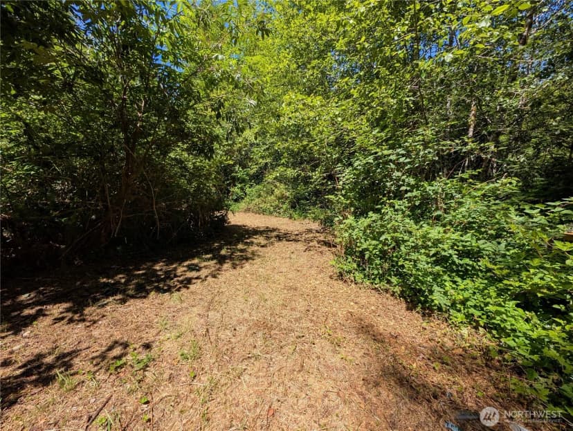 Property photo for 999 Hoh River Park Drive, Forks photo 4