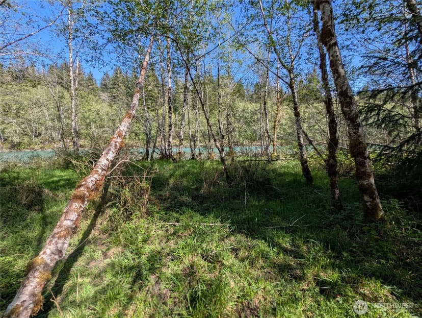 Property photo for 999 Hoh River Park Drive, Forks photo 26