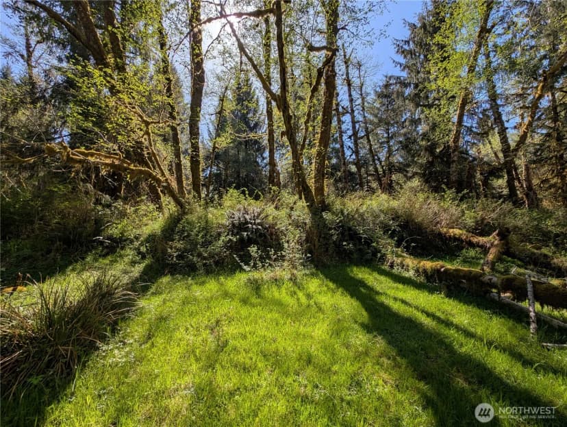 Property photo for 999 Hoh River Park Drive, Forks photo 17
