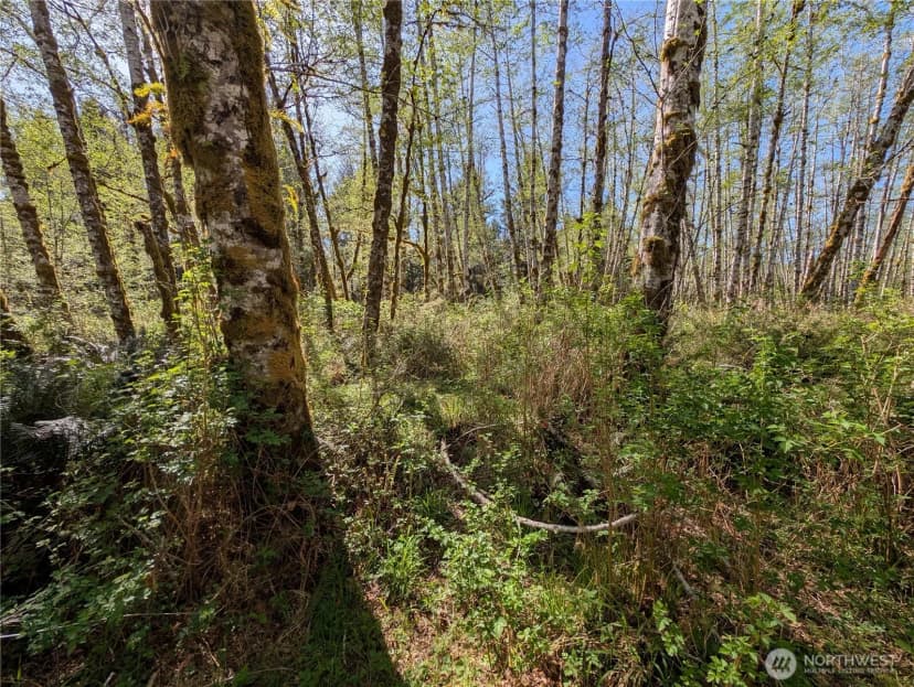 Property photo for 999 Hoh River Park Drive, Forks photo 23