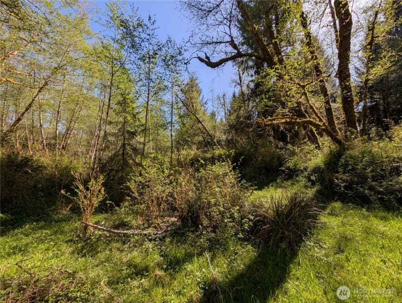 Property photo for 999 Hoh River Park Drive, Forks photo 21
