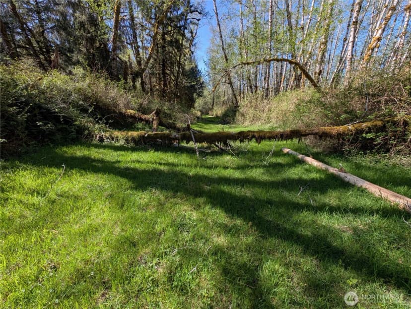 Property photo for 999 Hoh River Park Drive, Forks photo 19
