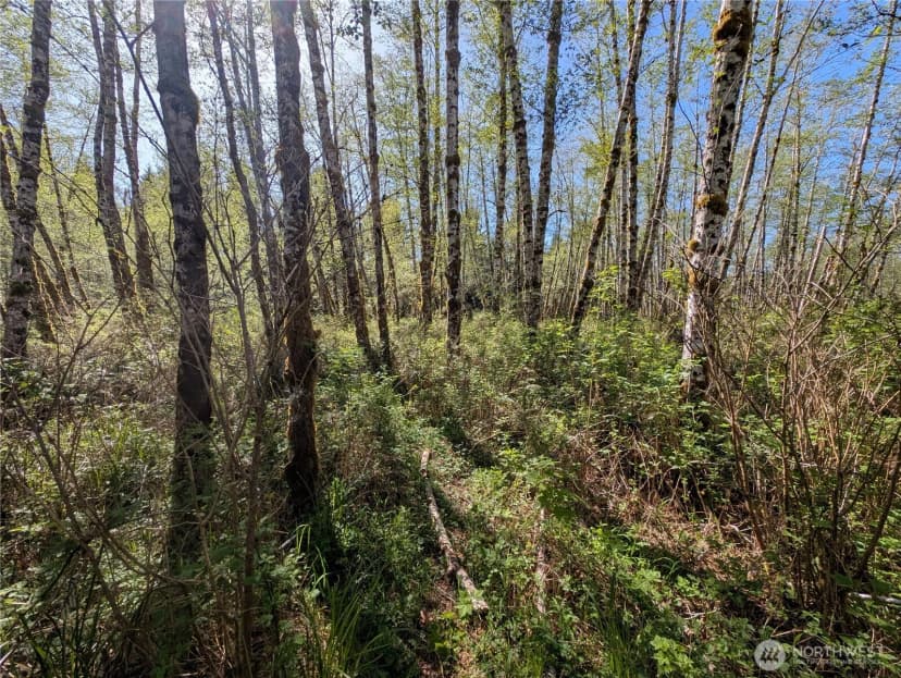 Property photo for 999 Hoh River Park Drive, Forks photo 36