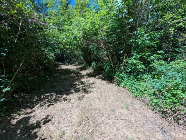 Property photo for 999 Hoh River Park Drive, Forks photo 5