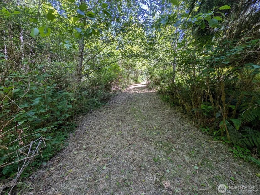 Property photo for 999 Hoh River Park Drive, Forks photo 6