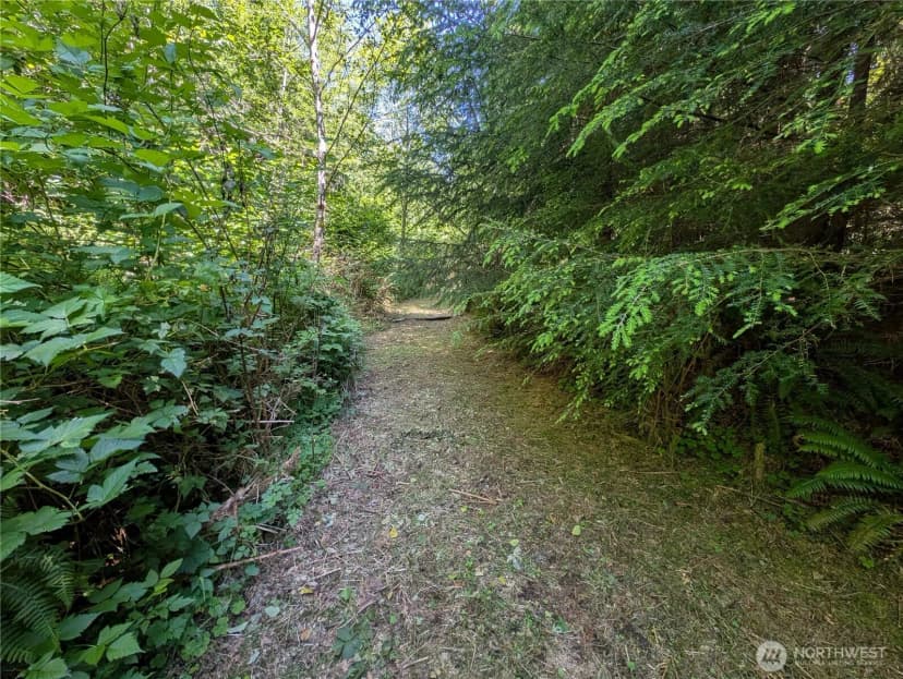 Property photo for 999 Hoh River Park Drive, Forks photo 8