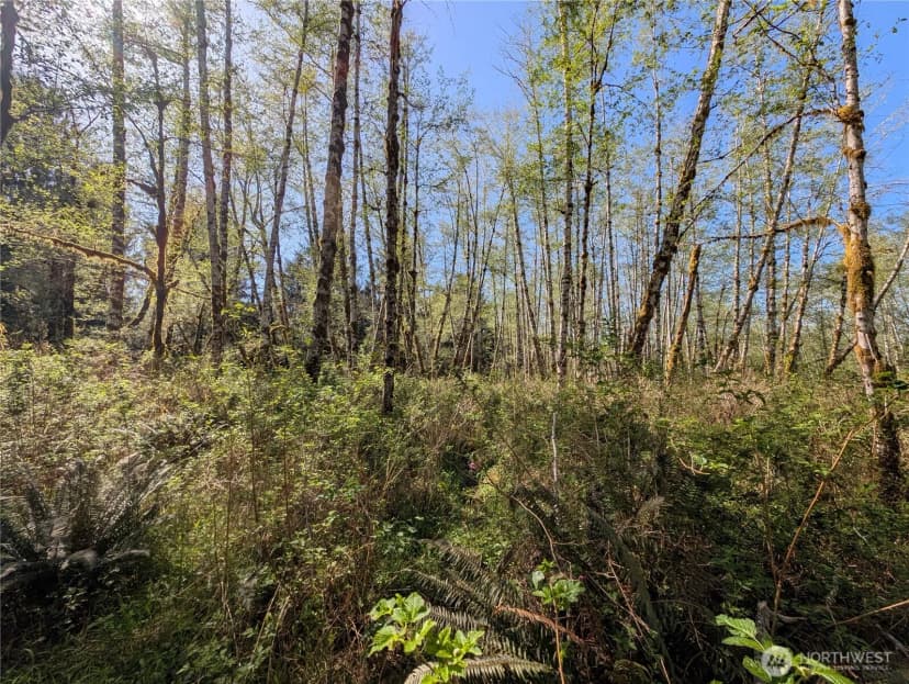 Property photo for 999 Hoh River Park Drive, Forks photo 22