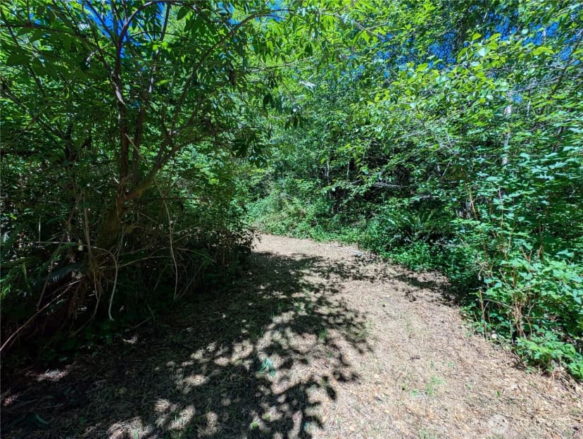 Property photo for 999 Hoh River Park Drive, Forks photo 11