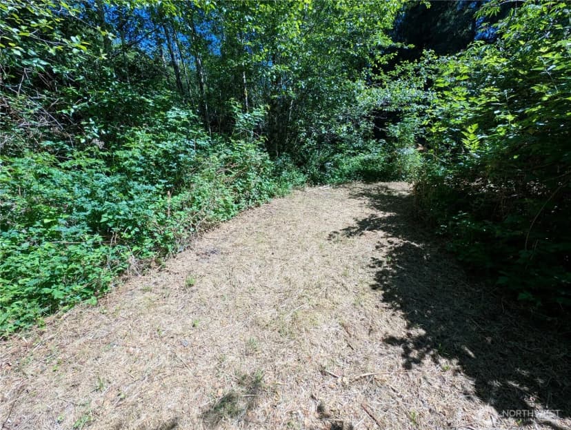 Property photo for 999 Hoh River Park Drive, Forks photo 10