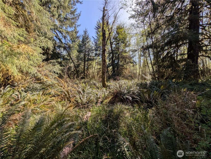 Property photo for 999 Hoh River Park Drive, Forks photo 38