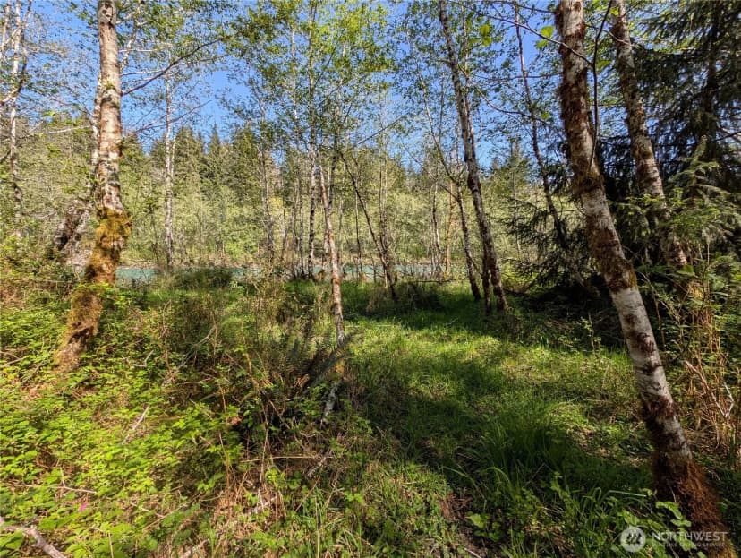 Property photo for 999 Hoh River Park Drive, Forks photo 25