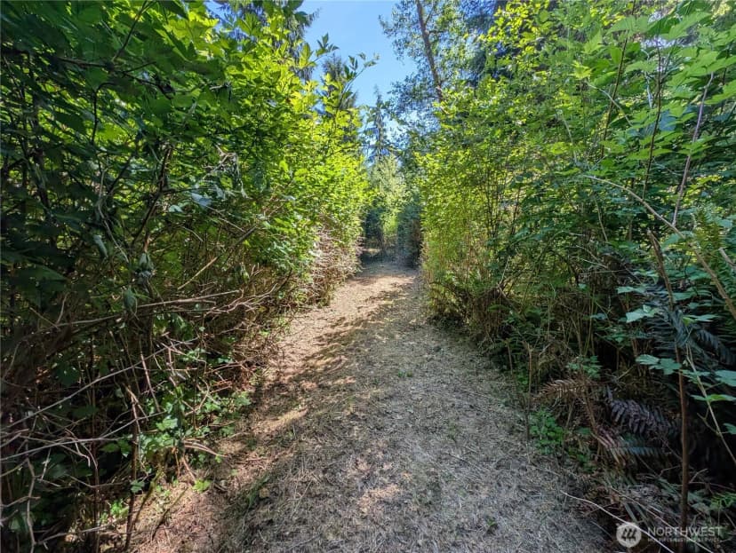 Property photo for 999 Hoh River Park Drive, Forks photo 7