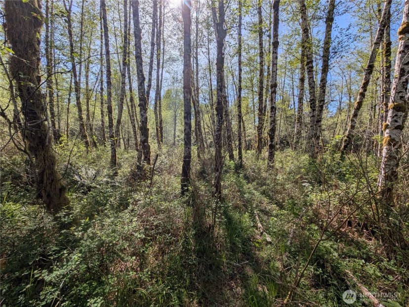 Property photo for 999 Hoh River Park Drive, Forks photo 24