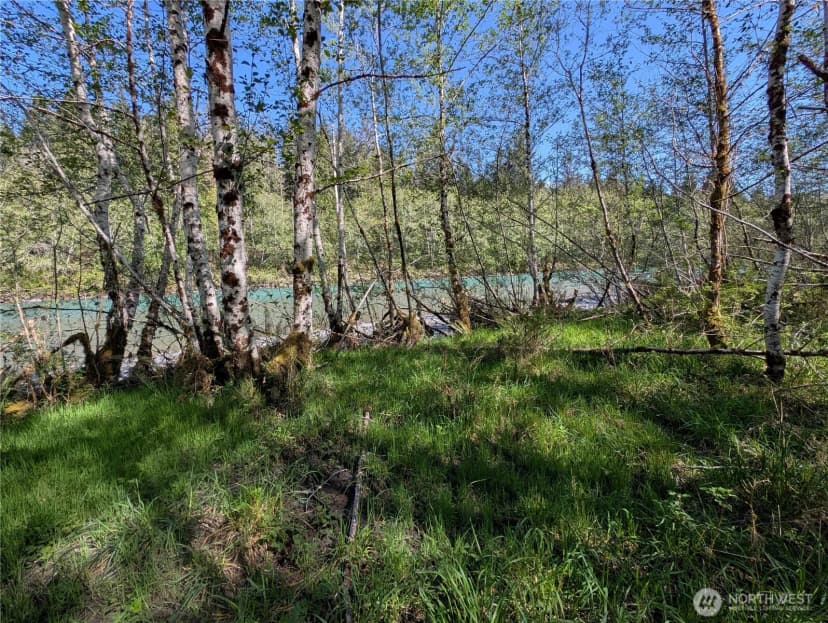 Property photo for 999 Hoh River Park Drive, Forks photo 27