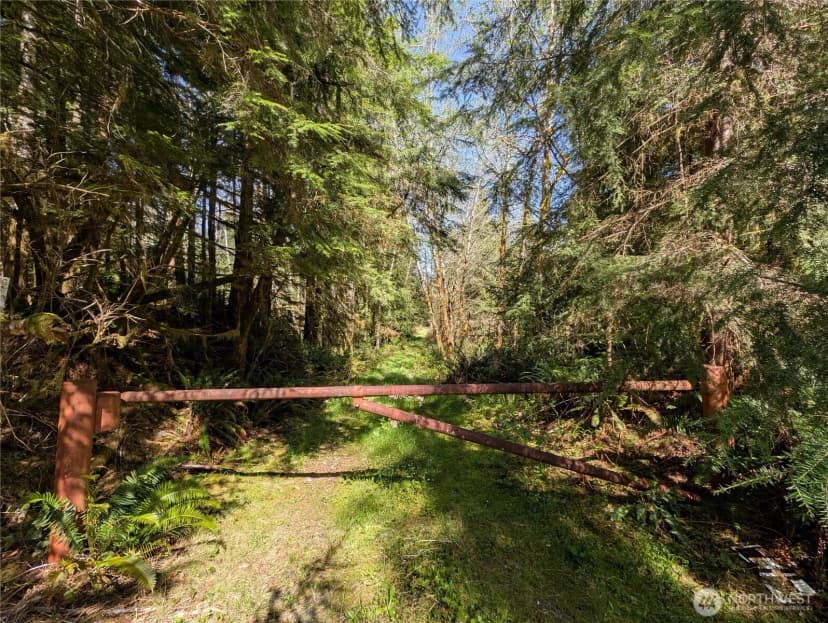 Property photo for 999 Hoh River Park Drive, Forks photo 3