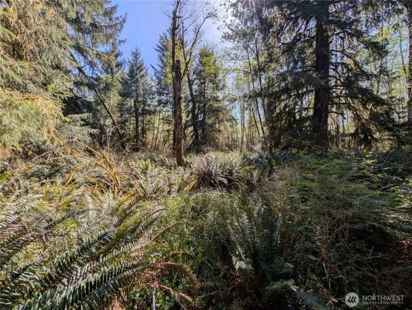 Property photo for 999 Hoh River Park Drive, Forks photo 14
