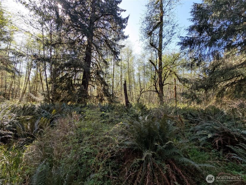 Property photo for 999 Hoh River Park Drive, Forks photo 37