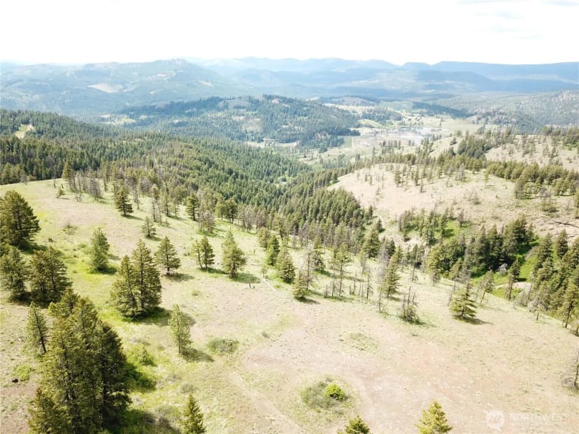 Property photo for 19 Union Ridge Spur Road, Republic photo 32