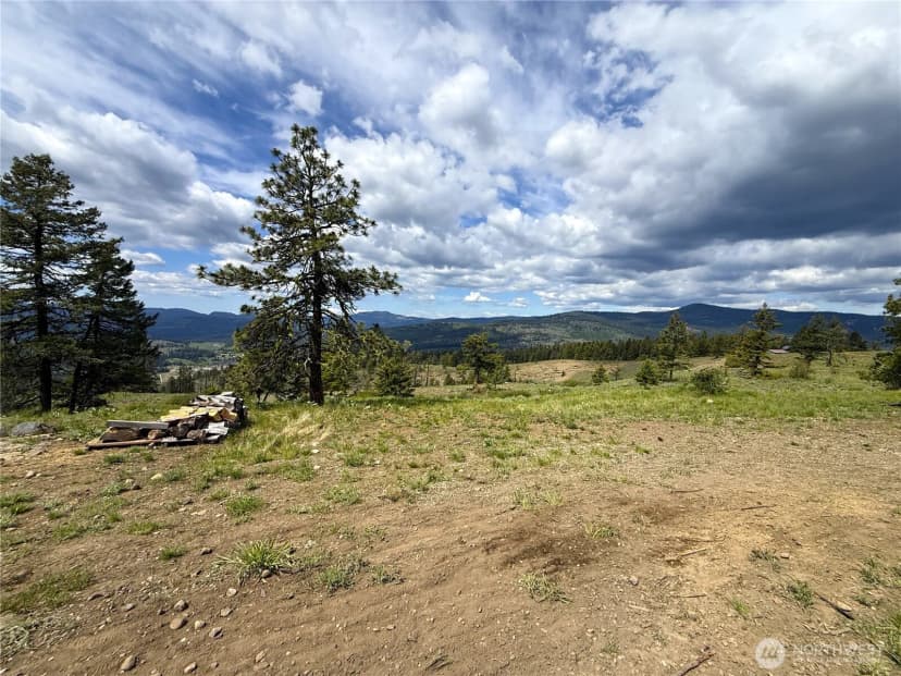 Property photo for 19 Union Ridge Spur Road, Republic photo 19
