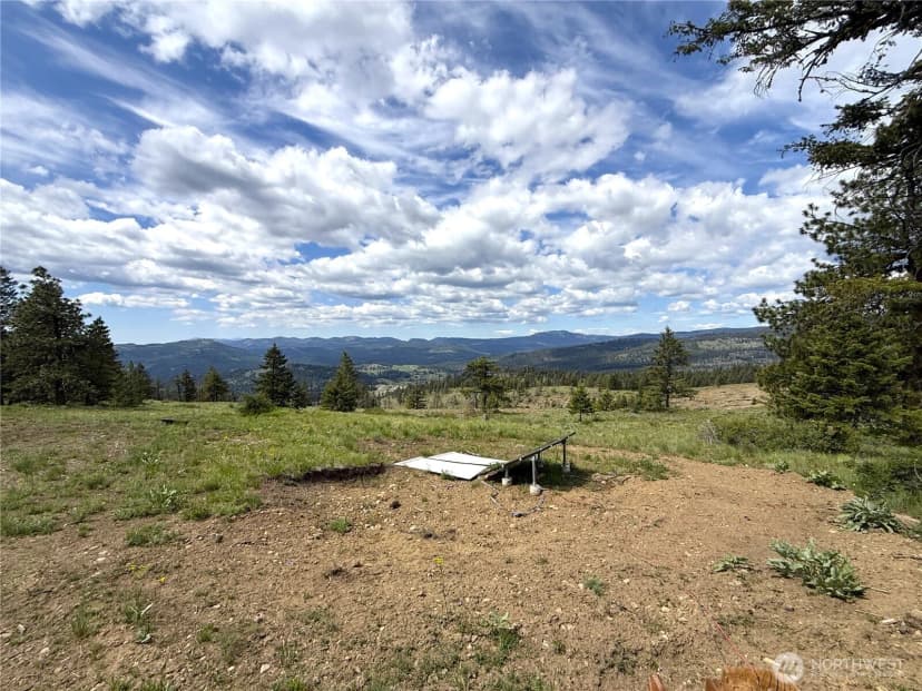 Property photo for 19 Union Ridge Spur Road, Republic photo 24