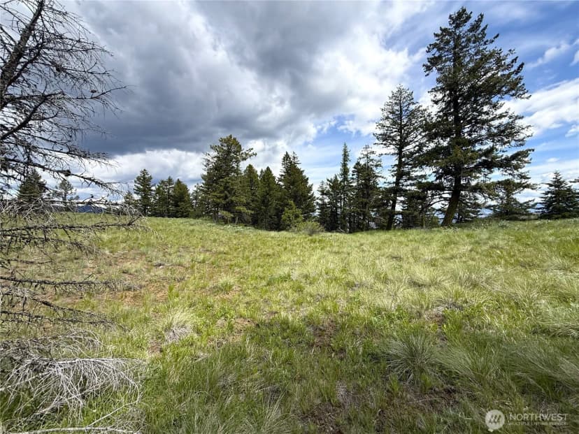 Property photo for 19 Union Ridge Spur Road, Republic photo 18