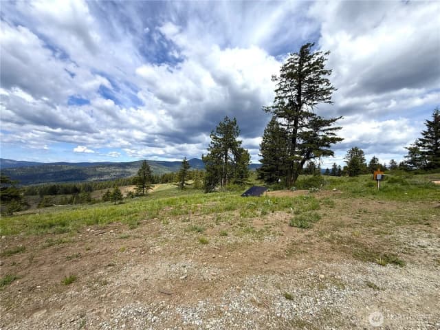 Property photo for 19 Union Ridge Spur Road, Republic photo 5