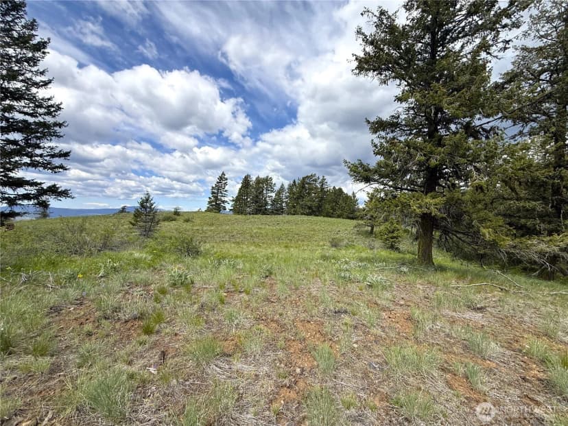 Property photo for 19 Union Ridge Spur Road, Republic photo 20