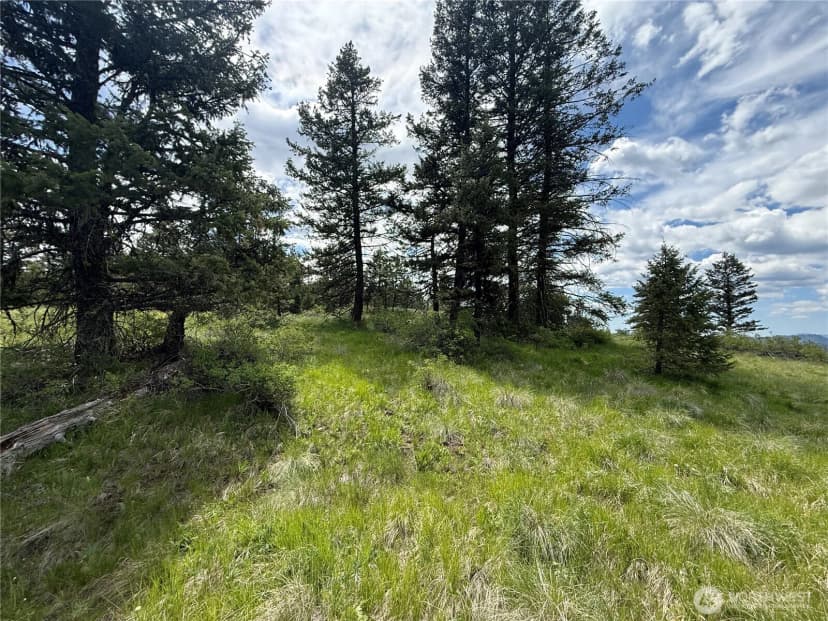 Property photo for 19 Union Ridge Spur Road, Republic photo 26
