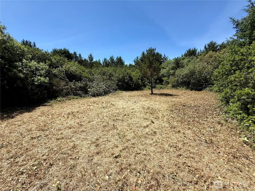 Property photo for 525 Sand Dune Avenue Sw, Ocean Shores photo 8