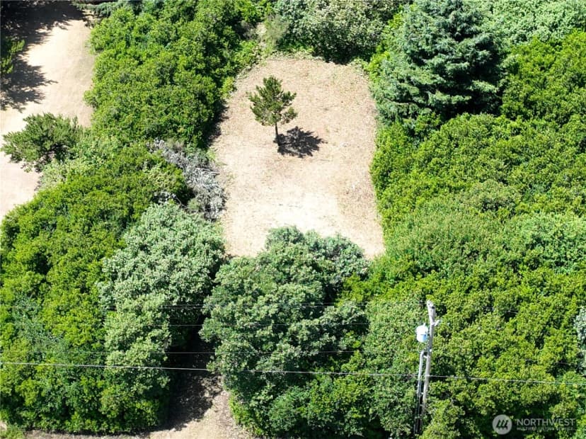 Property photo for 525 Sand Dune Avenue Sw, Ocean Shores photo 3