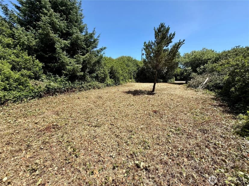 Property photo for 525 Sand Dune Avenue Sw, Ocean Shores photo 9