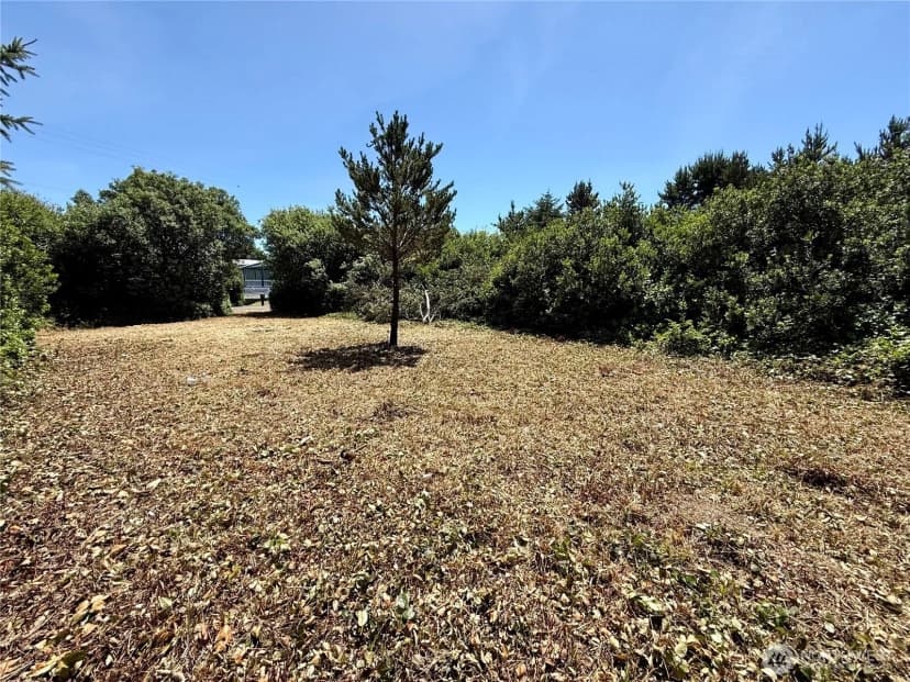 Property photo for 525 Sand Dune Avenue Sw, Ocean Shores photo 10