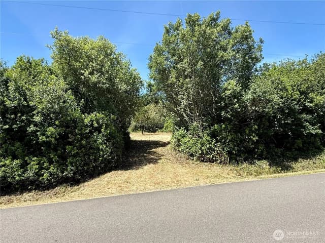 Property photo for 525 Sand Dune Avenue Sw, Ocean Shores photo 5