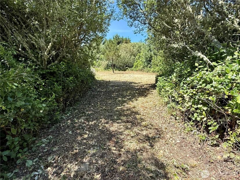 Property photo for 525 Sand Dune Avenue Sw, Ocean Shores photo 6