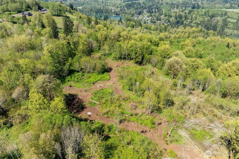 Property photo for 158 Breezy Lane, Mossyrock photo 37