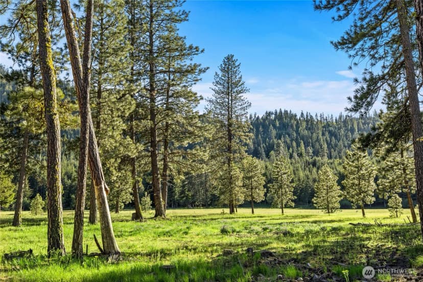 Property photo for 20 Domerie Park Loop, Cle Elum photo 7
