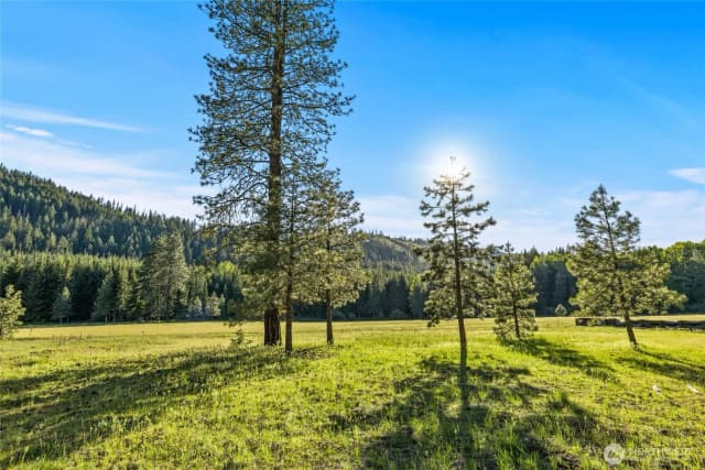 Property photo for 20 Domerie Park Loop, Cle Elum photo 3