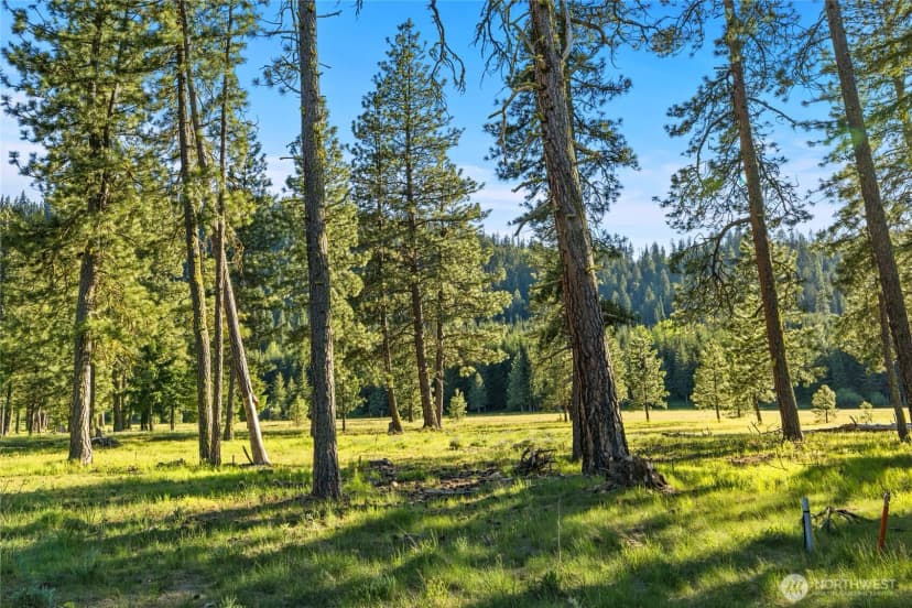 Property photo for 20 Domerie Park Loop, Cle Elum photo 5